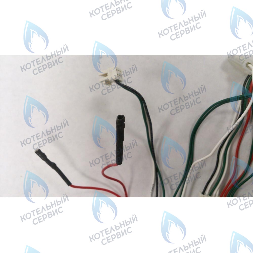 6305100085 Проводка  электрическая низкого  напряжения BAXI в Санкт-Петербурге