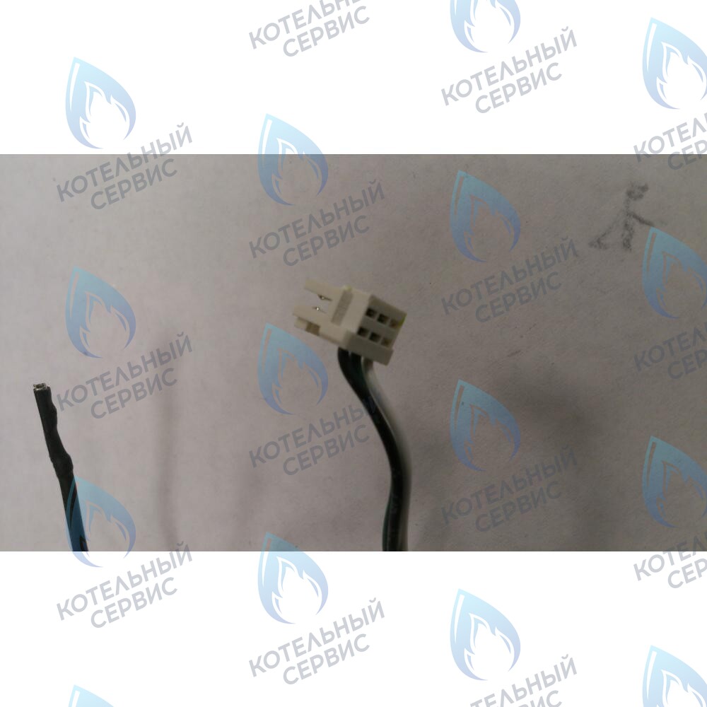 6305100085 Проводка  электрическая низкого  напряжения BAXI в Санкт-Петербурге