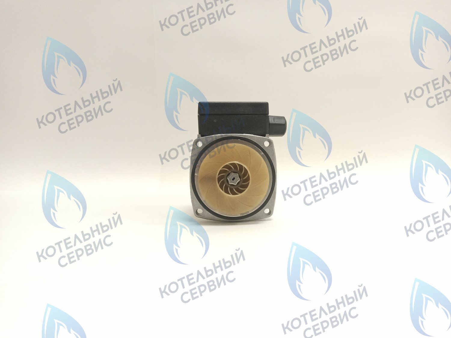 PH-G30CCW50-GR75-RL Двигатель насоса Grundfos (без улитки) 15-50 75W в Санкт-Петербурге