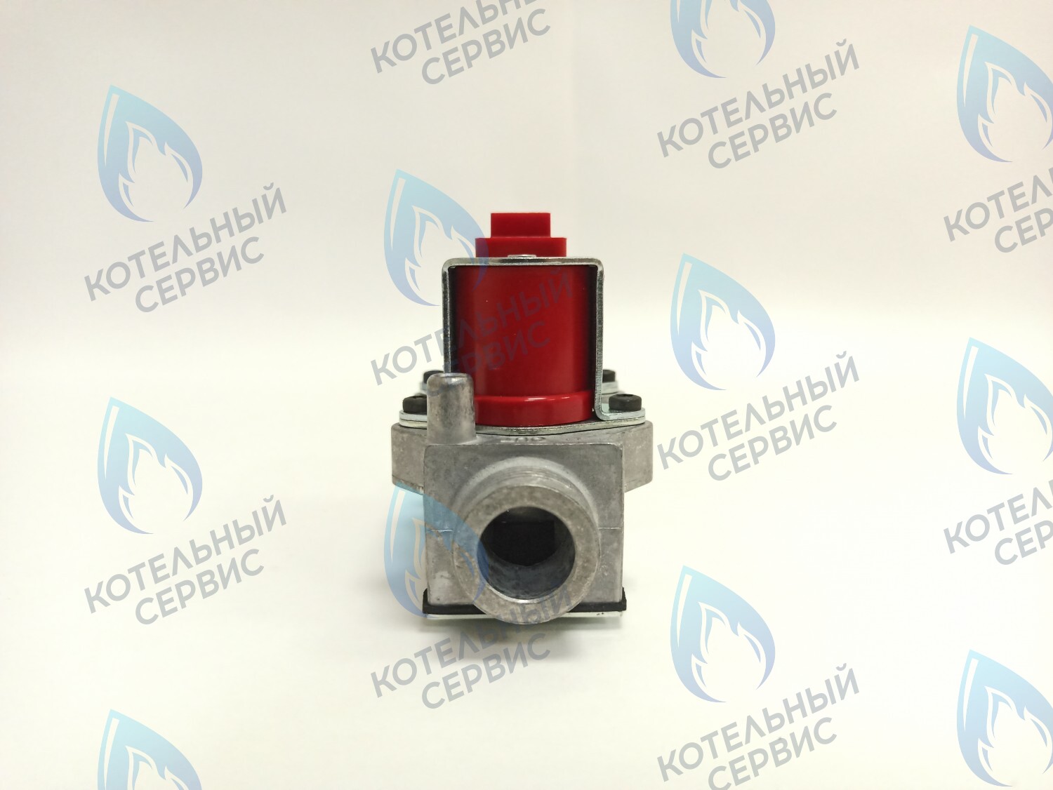 BI1373 100 Газовый клапан B&P (BI1373 100) BIASI в Санкт-Петербурге