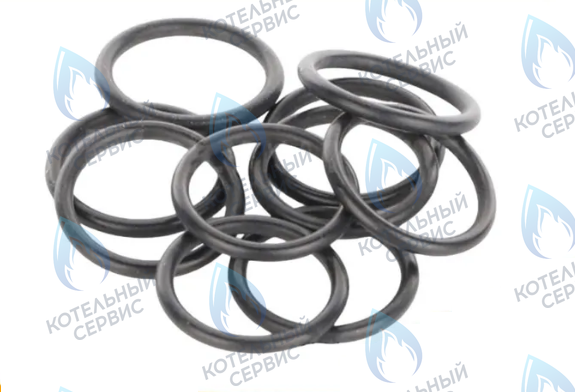 0020118737 Прокладка уплотнительная 17,17x1,78 (комплект 10шт) PROTHERM в Санкт-Петербурге