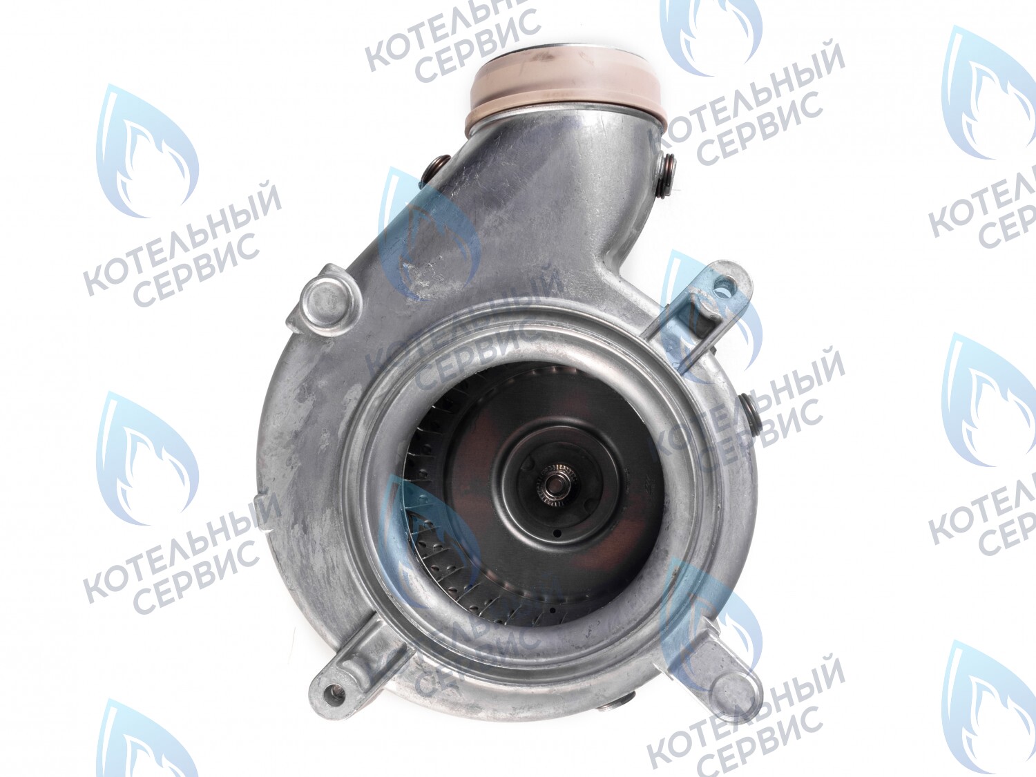 AF005-55W-F Вентилятор дымоудаления 55W Fime VGR0102786 Protherm Пантера v18, v19 (2000801920) в Санкт-Петербурге