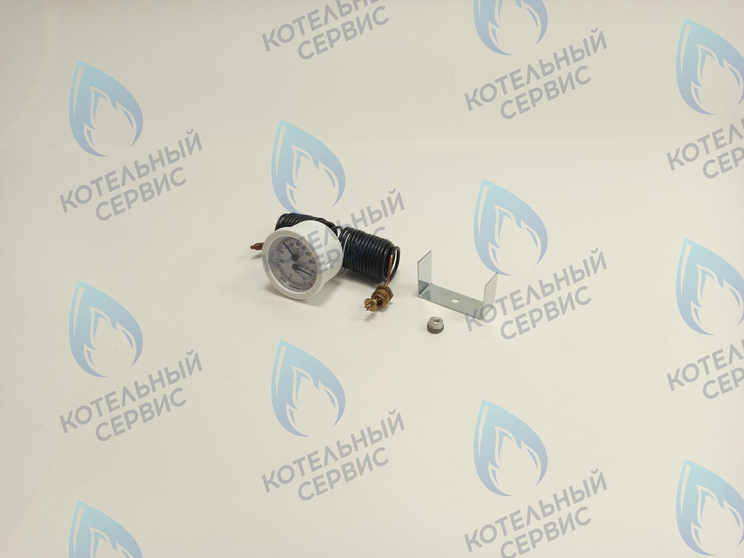 39806020 Термоманометр 0-6 bar 0-120C  (36400790) FERROLI PEGASUS F3 в Санкт-Петербурге