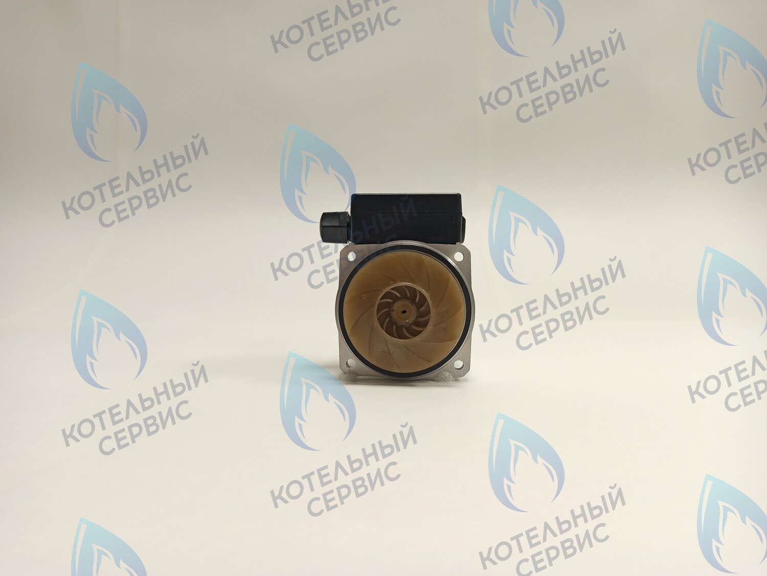 PH-G30CCW65-DG120 Двигатель насоса (против часовой) DUCA GX 15-65 120w аналог Grundfos 15-65 в Санкт-Петербурге