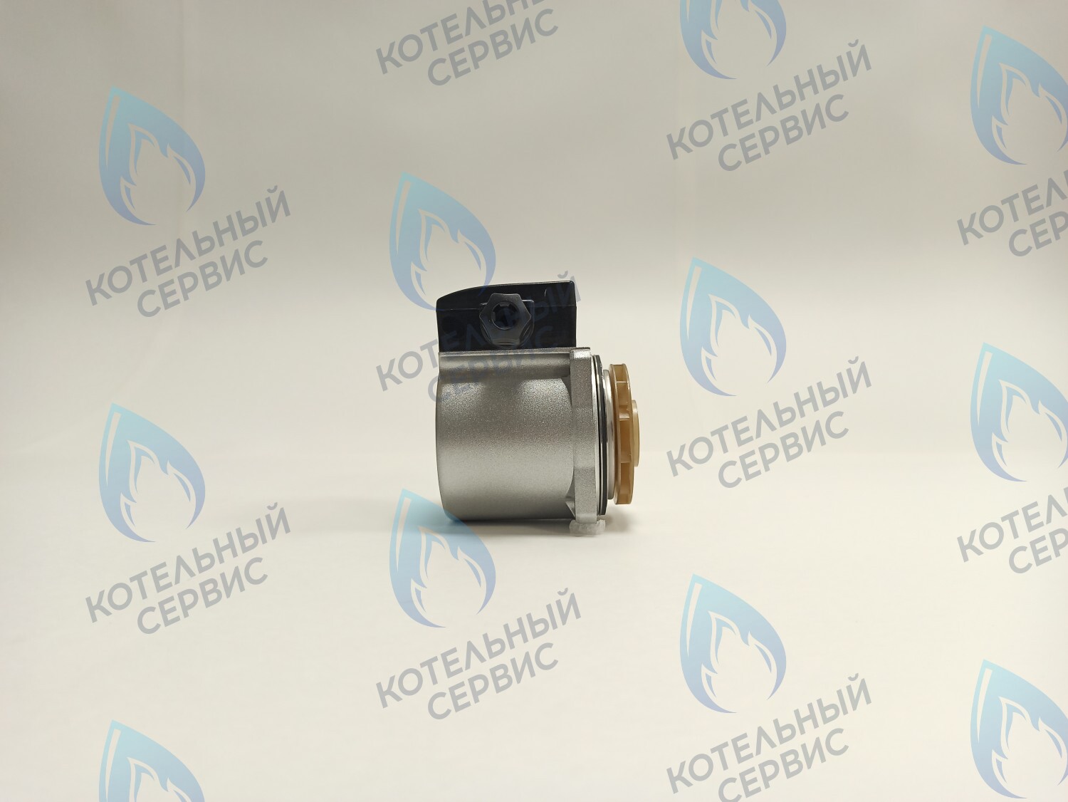 PH-G30CCW65-DG120 Двигатель насоса (против часовой) DUCA GX 15-65 120w аналог Grundfos 15-65 в Санкт-Петербурге