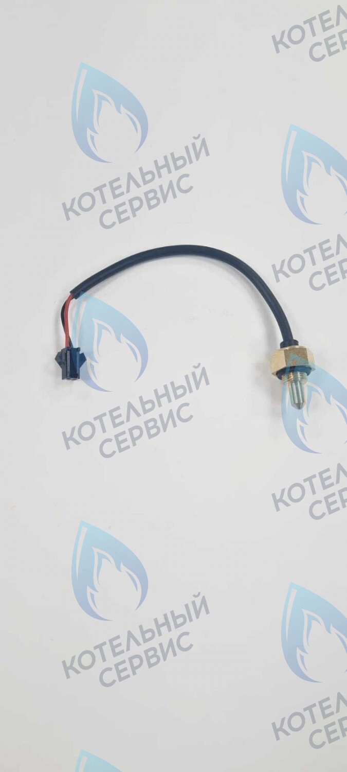 TS008-WP-10-02 Датчик температуры погружной G8 с проводом - папа Mizudo 10кОм в Санкт-Петербурге