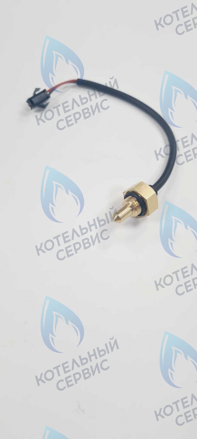 TS008-WP-10-02 Датчик температуры погружной G8 с проводом - папа Mizudo 10кОм в Санкт-Петербурге