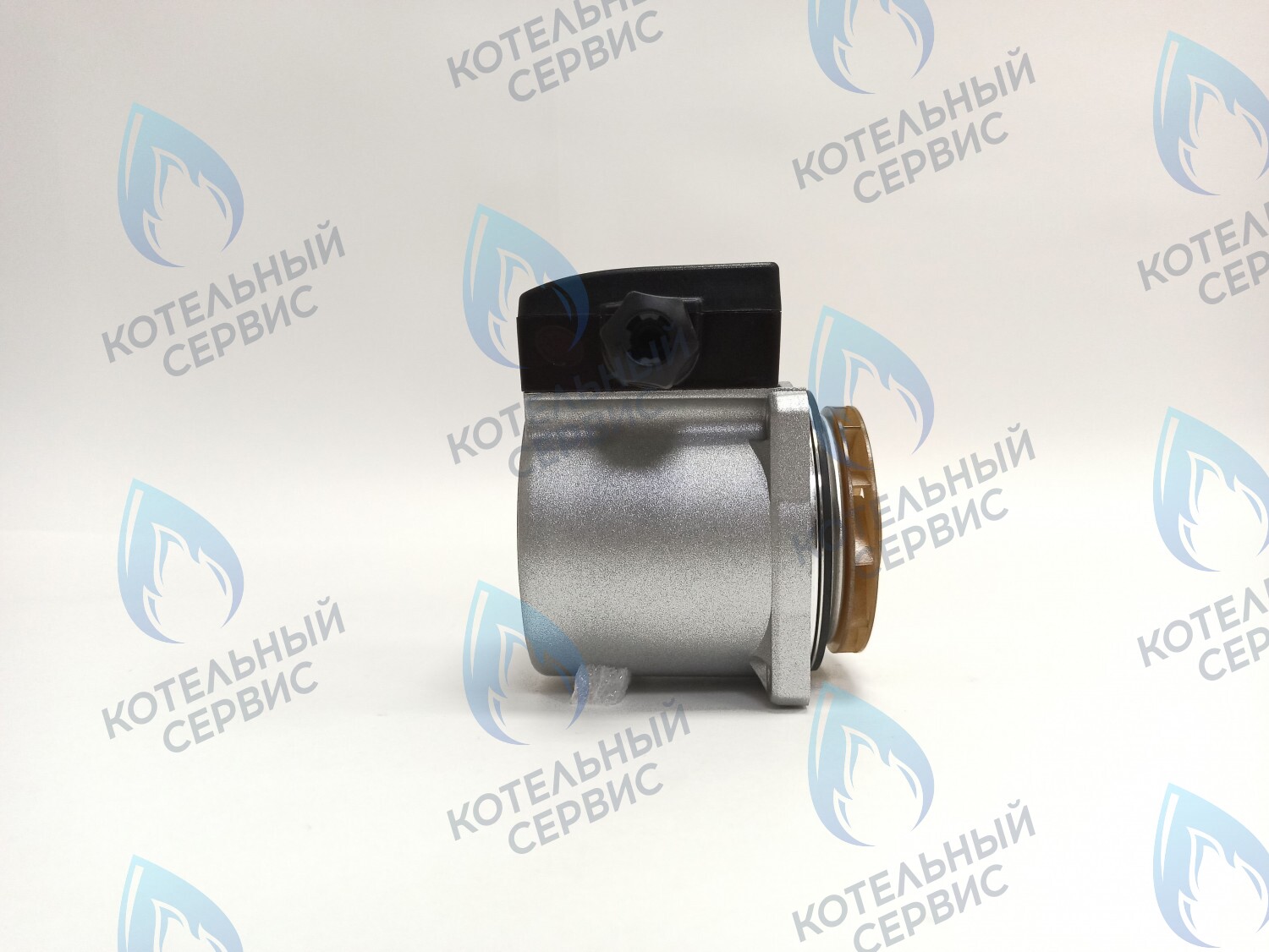 PH-G30CCW60-DG105 Двигатель насоса DUCA GX 15-60, аналог GRUNDFOS 15-60, 105W в Санкт-Петербурге