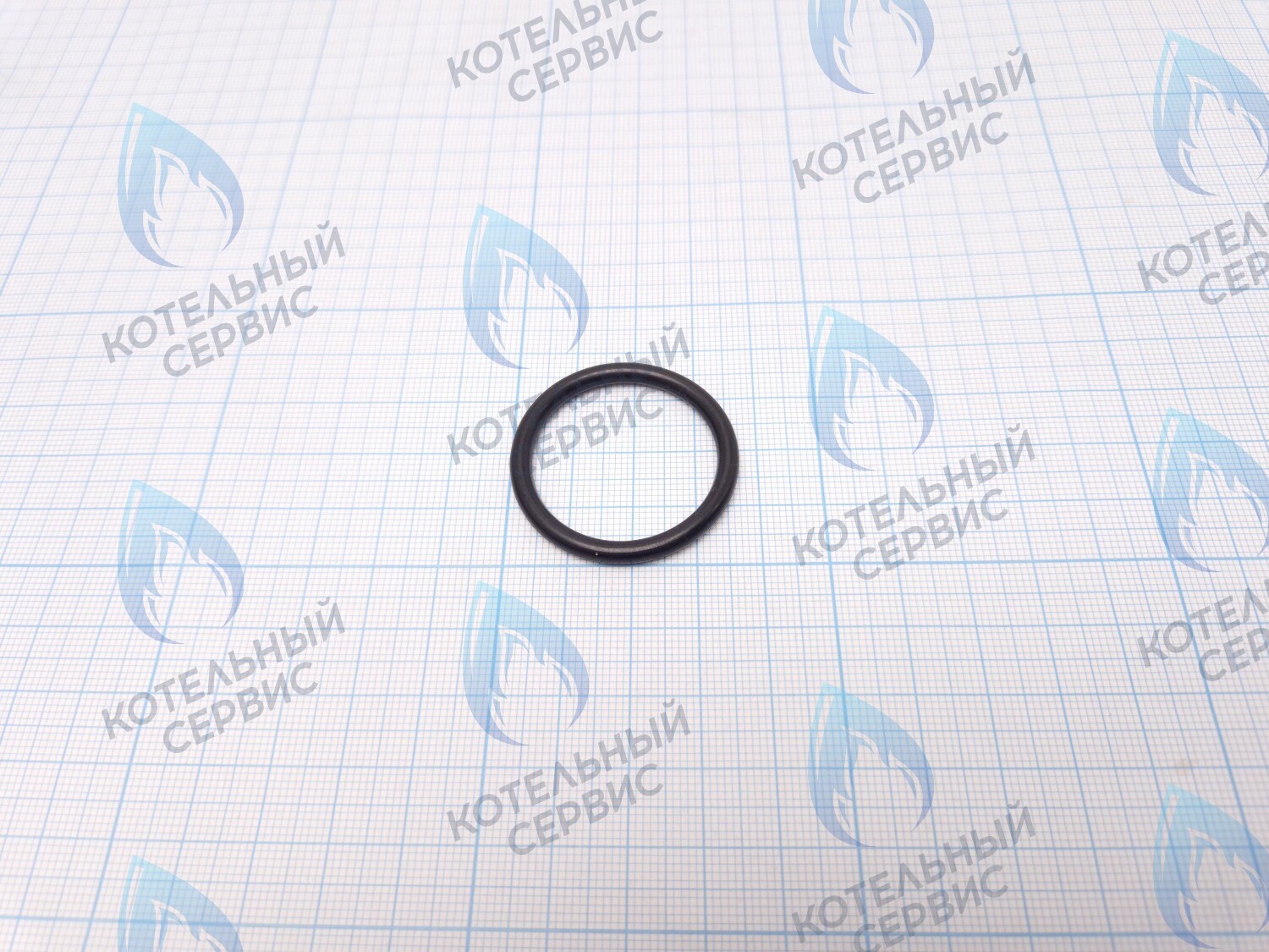 ZR301 Кольцо уплотнительное O-ring для фильтра Navien (20007016A) в Санкт-Петербурге