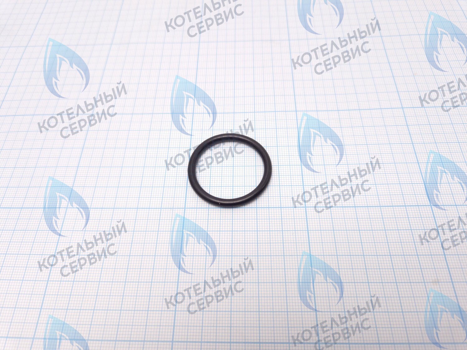 ZR301 Кольцо уплотнительное O-ring для фильтра Navien (20007016A) в Санкт-Петербурге