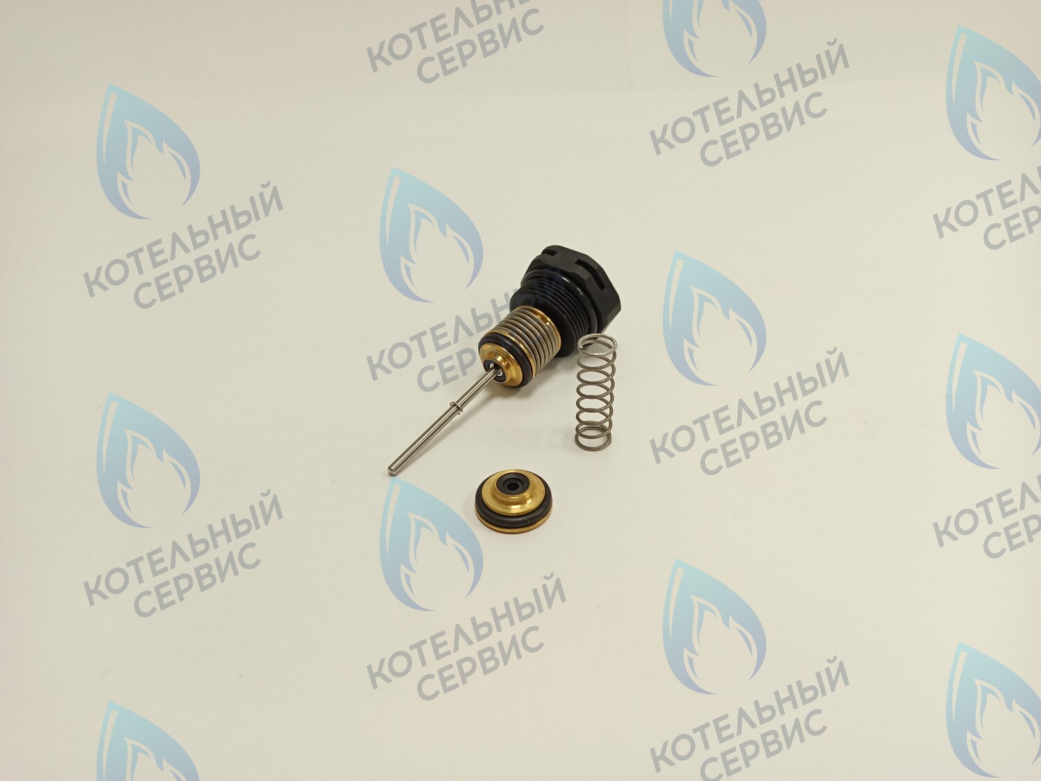 P0000108345 Шток в сборе для котла RE OASIS в Санкт-Петербурге