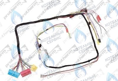 0020098000 Жгут проводов PROTHERM в Санкт-Петербурге