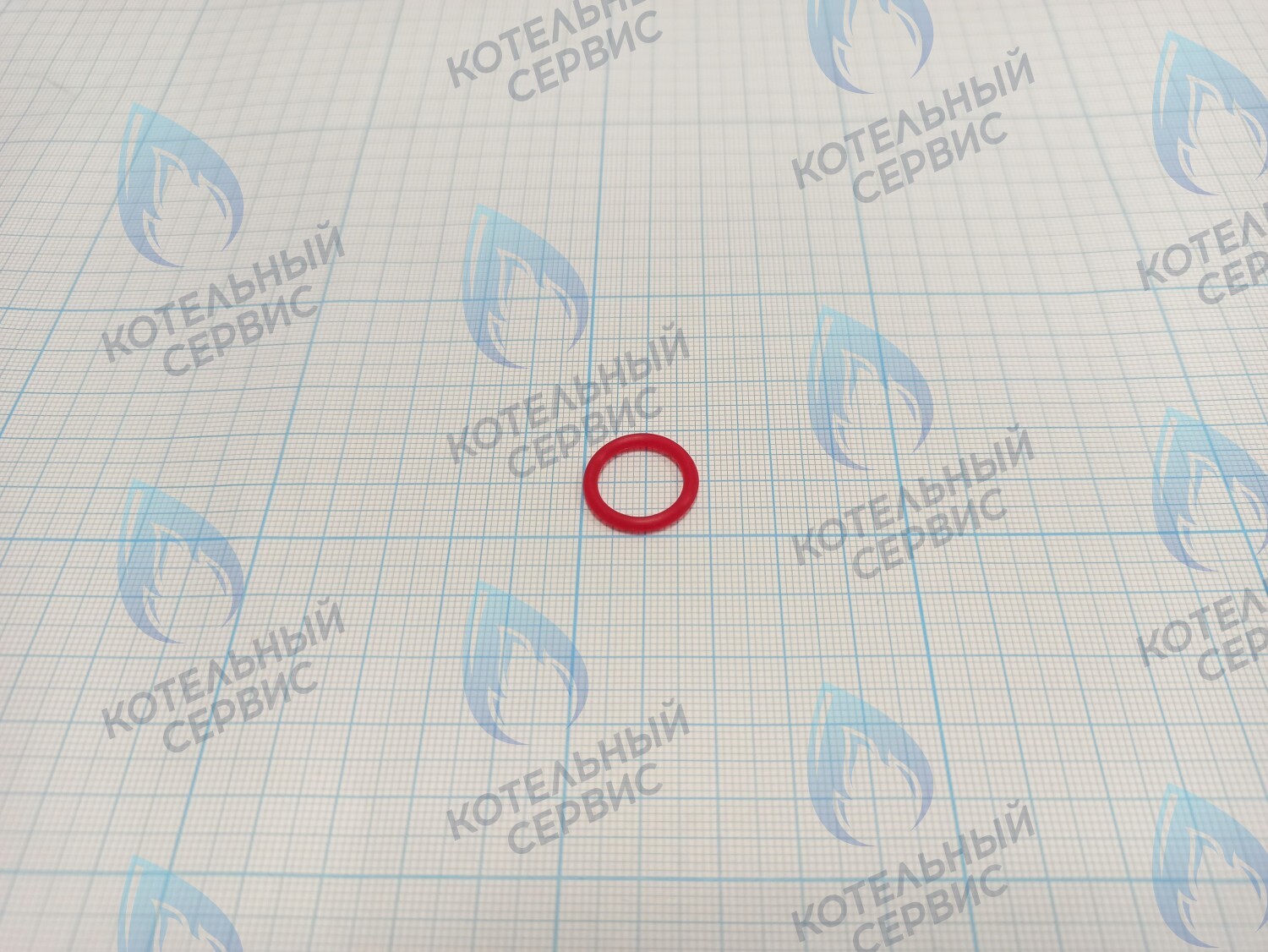 S551100024 Прокладка уплотнительная для трубки для слива на клапане безопасности (TA-13~30) KITURAMI в Санкт-Петербурге