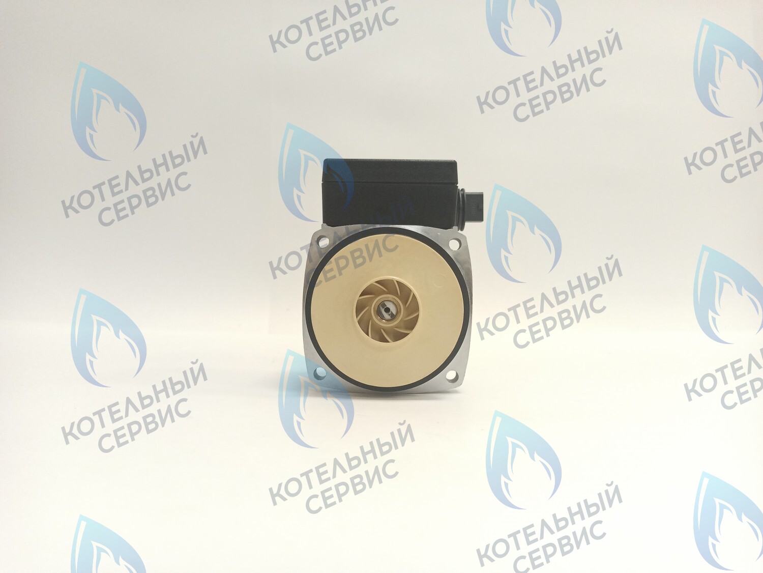 PH-P30CCW60-PR120 Двигатель насоса (против часовой) Protherm 15-60S (0020119604, 0020207146) в Санкт-Петербурге