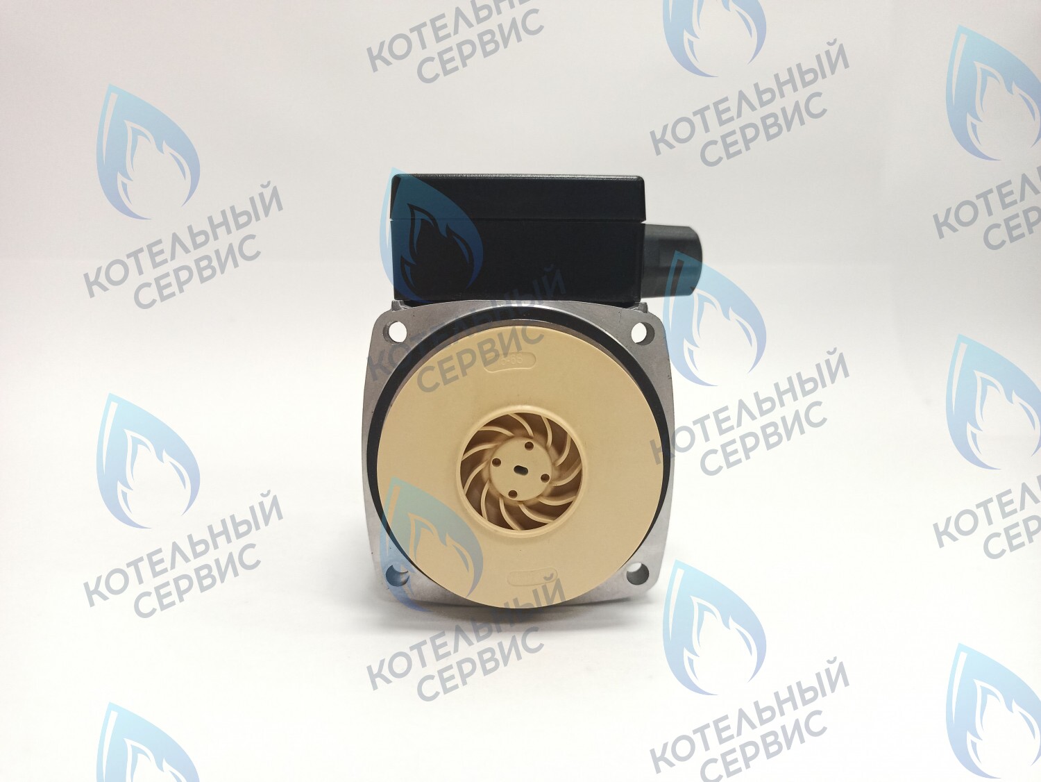 PH-G30CCW60-SH100 Двигатель насоса Shinhoo 15-60 XinHu GPD15-6S-Z027 в Санкт-Петербурге