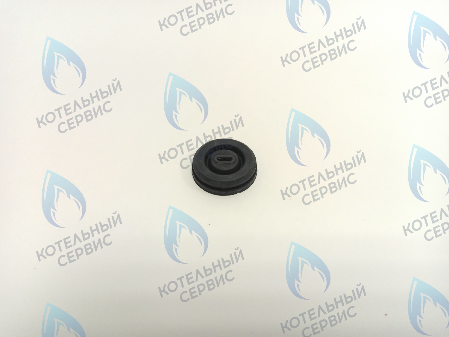 BI1002 115 Уплотнительное кольцо электро кабелей (BI1002 115) BIASI в Санкт-Петербурге