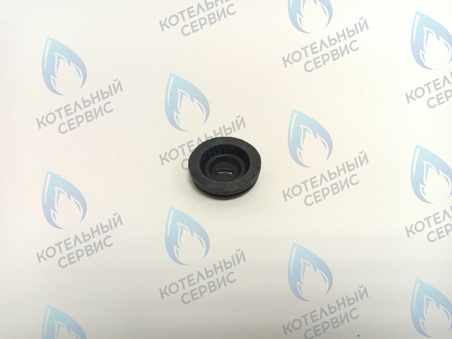 BI1002 115 Уплотнительное кольцо электро кабелей (BI1002 115) BIASI в Санкт-Петербурге