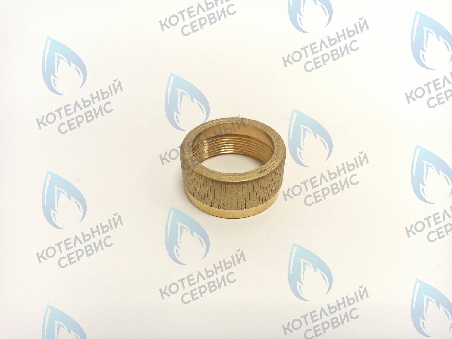 GGT101 Крепление мотора к трехходовому клапану VAILLANT в Санкт-Петербурге