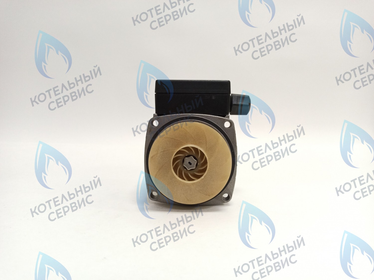 PH-G30CCW70-GR145 Двигатель насоса Grundfos (без улитки) 15-70 145W в Санкт-Петербурге