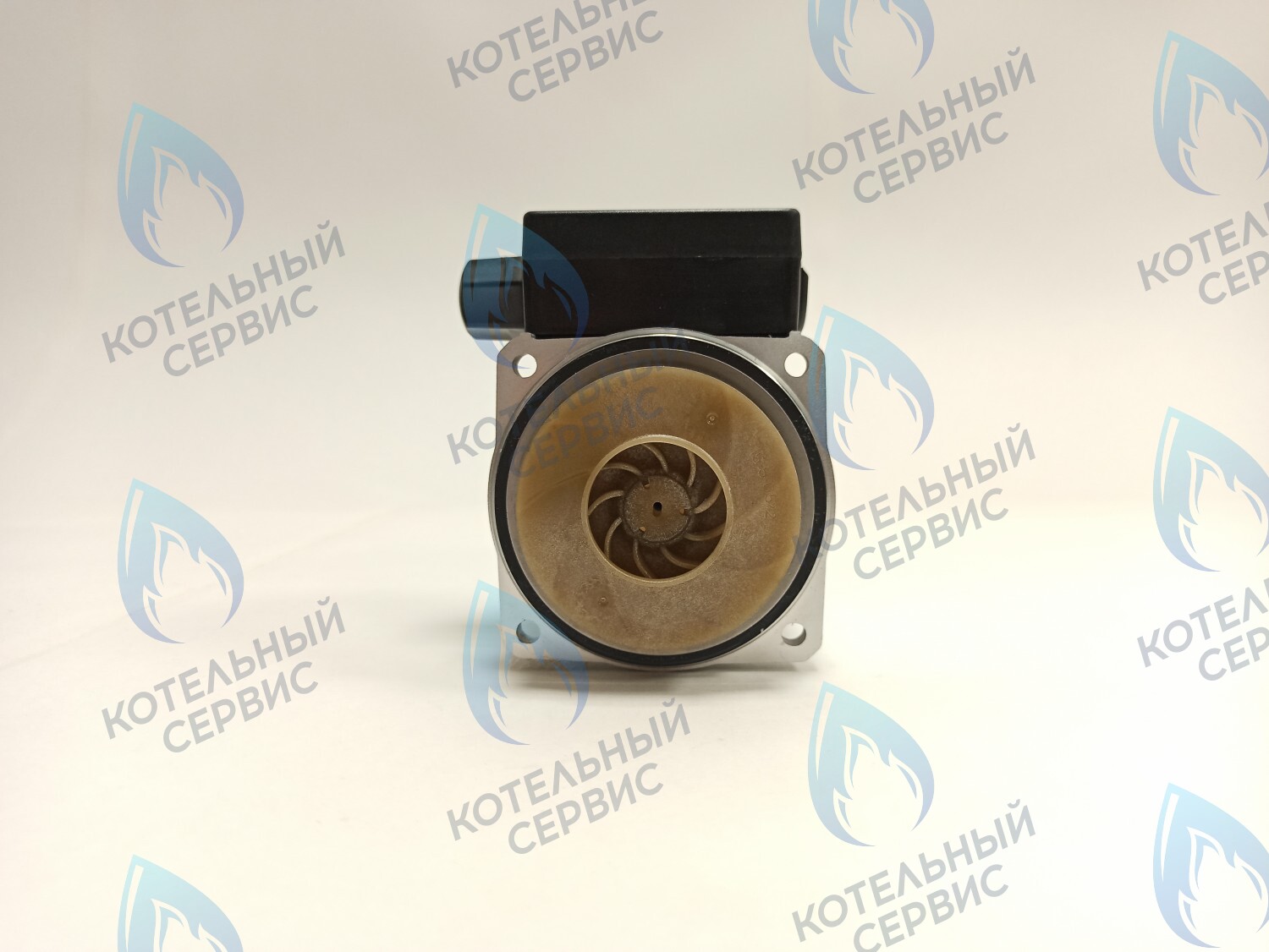 PH-G30CCW50-DG75 Двигатель насоса DUCA GX 15-50, аналог GRUNDFOS 15-50, 75W в Санкт-Петербурге