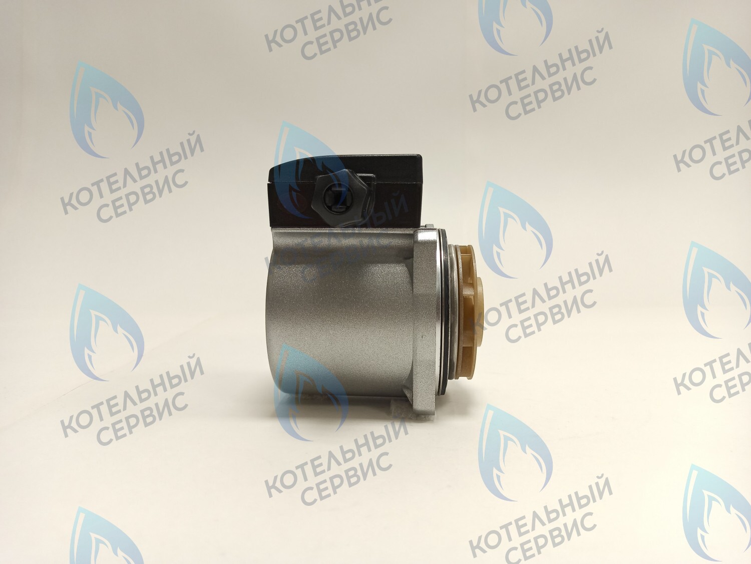 PH-G30CCW50-DG75 Двигатель насоса DUCA GX 15-50, аналог GRUNDFOS 15-50, 75W в Санкт-Петербурге