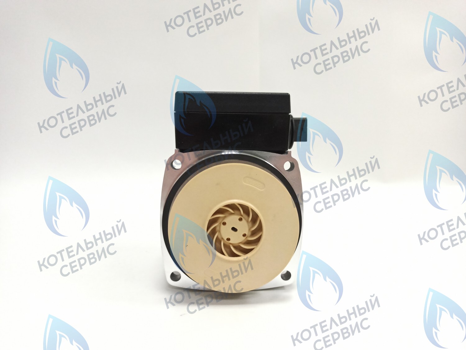 PH-P30CCW60-GB120 Двигатель насоса (против часовой) DD15-60 для Protherm (0020119604, 0020207146) в Санкт-Петербурге