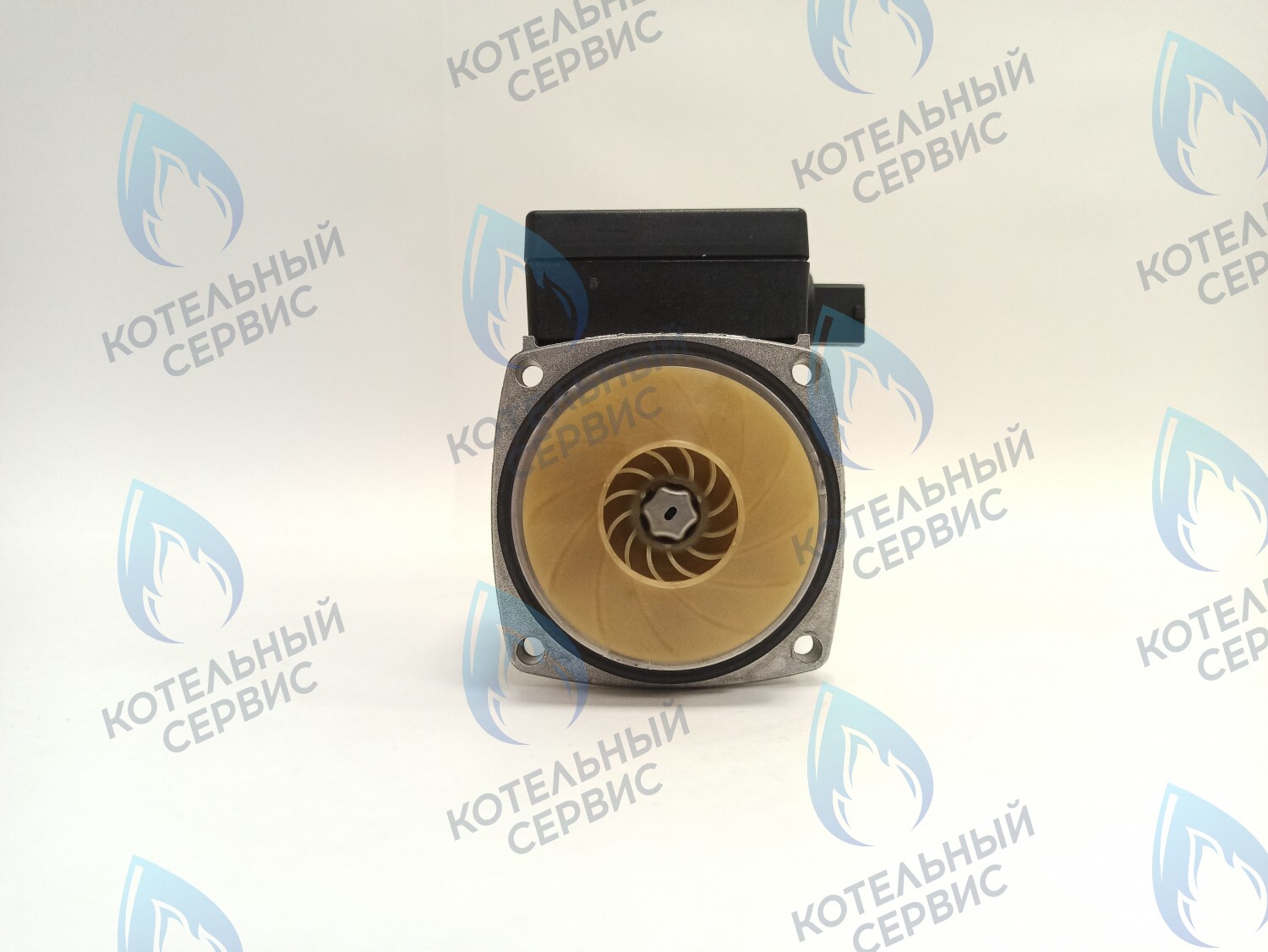 PH-G30CCW50-GR75-FL Двигатель насоса GRUNDFOS 15-50 75w с коннектором в Санкт-Петербурге