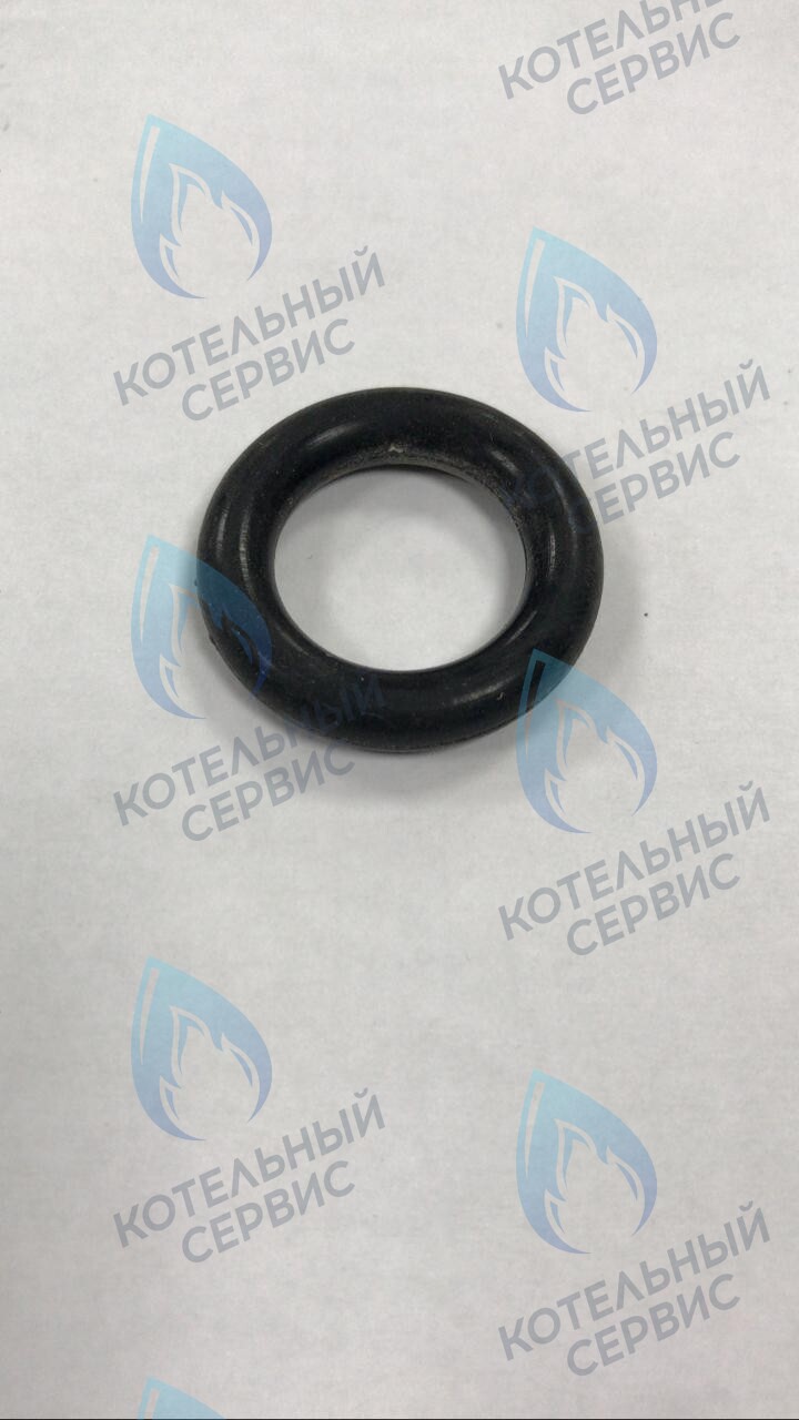39864460 Прокладка O-ring циркуляционного насоса FERROLI в Санкт-Петербурге