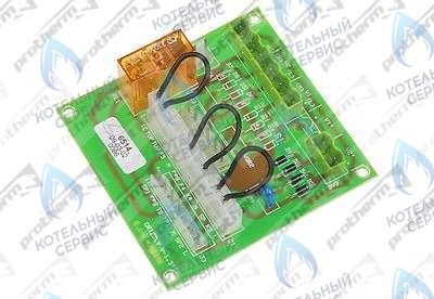 0020035009 Плата управления GRYZZLY(65,85,100 PROTHERM в Санкт-Петербурге