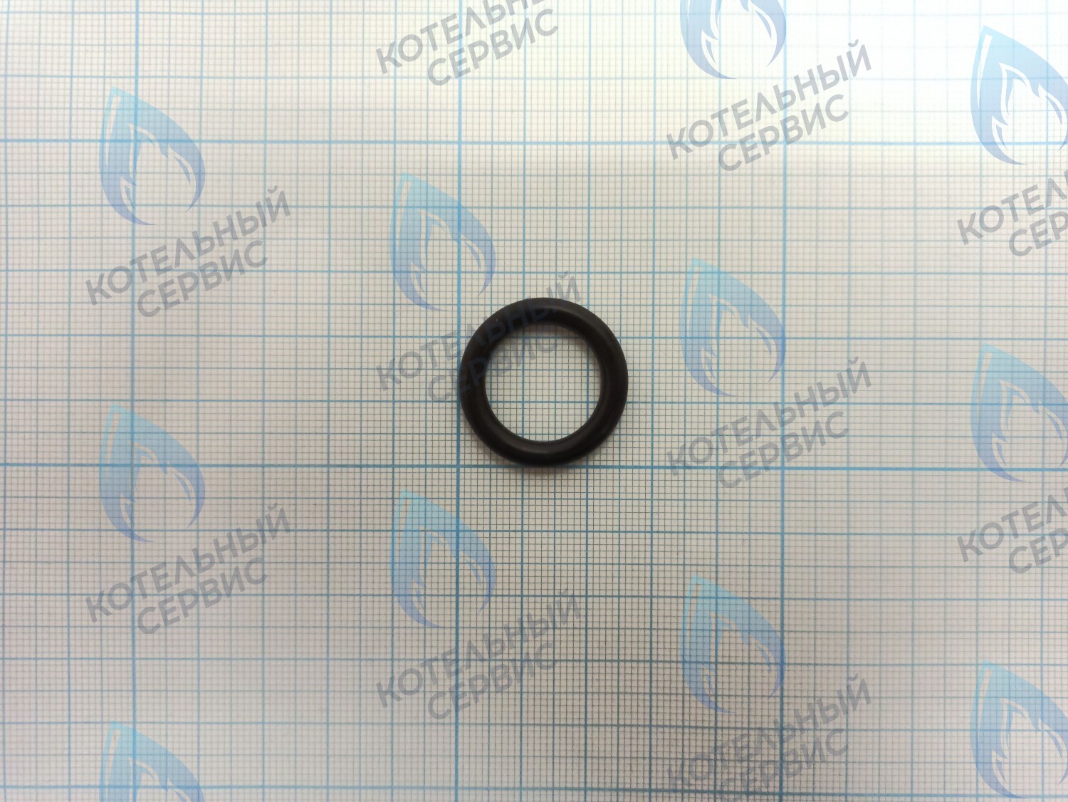 ZR101 Уплотнительное кольцо (прокладка) соединения гидрогруппы и улитки циркуляционного насоса в Санкт-Петербурге