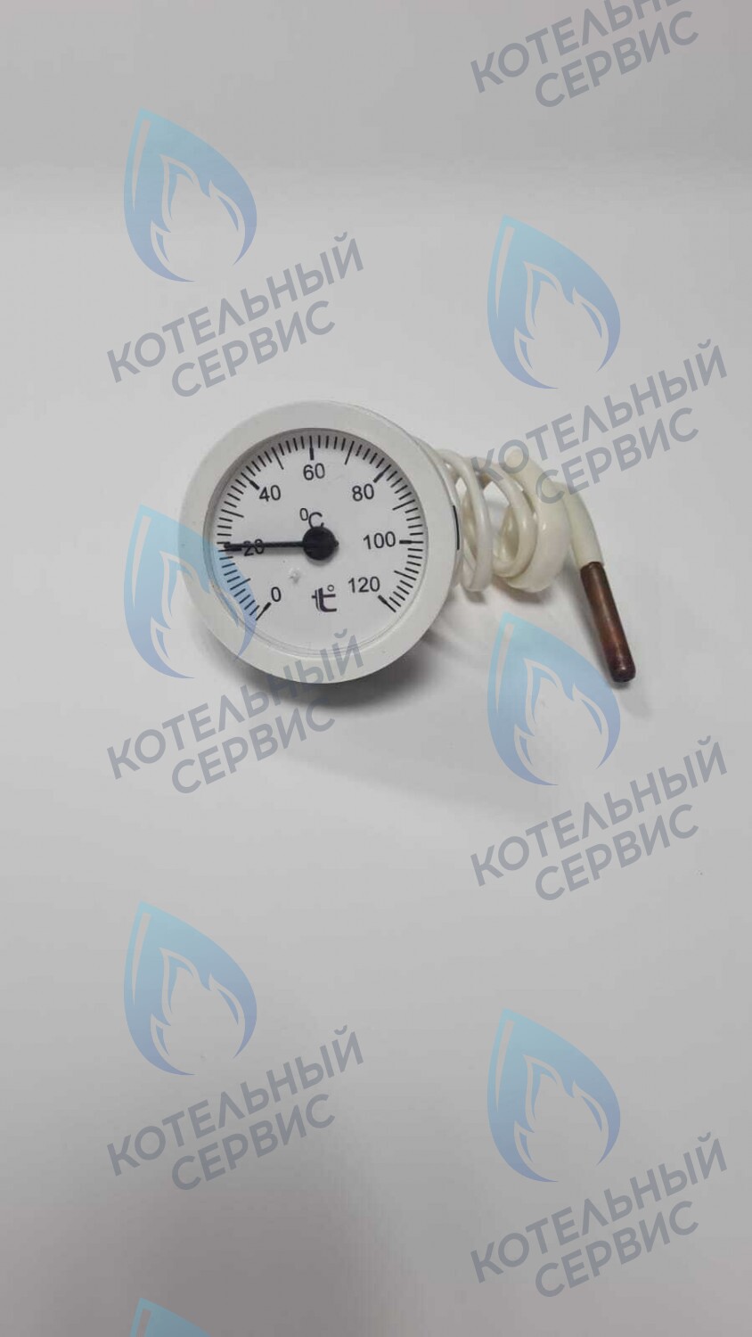 ST002-02 Термометр капиллярный круглый белое кольцо d 51,5 мм, длина капилляра 550 мм, 0-120С в Санкт-Петербурге